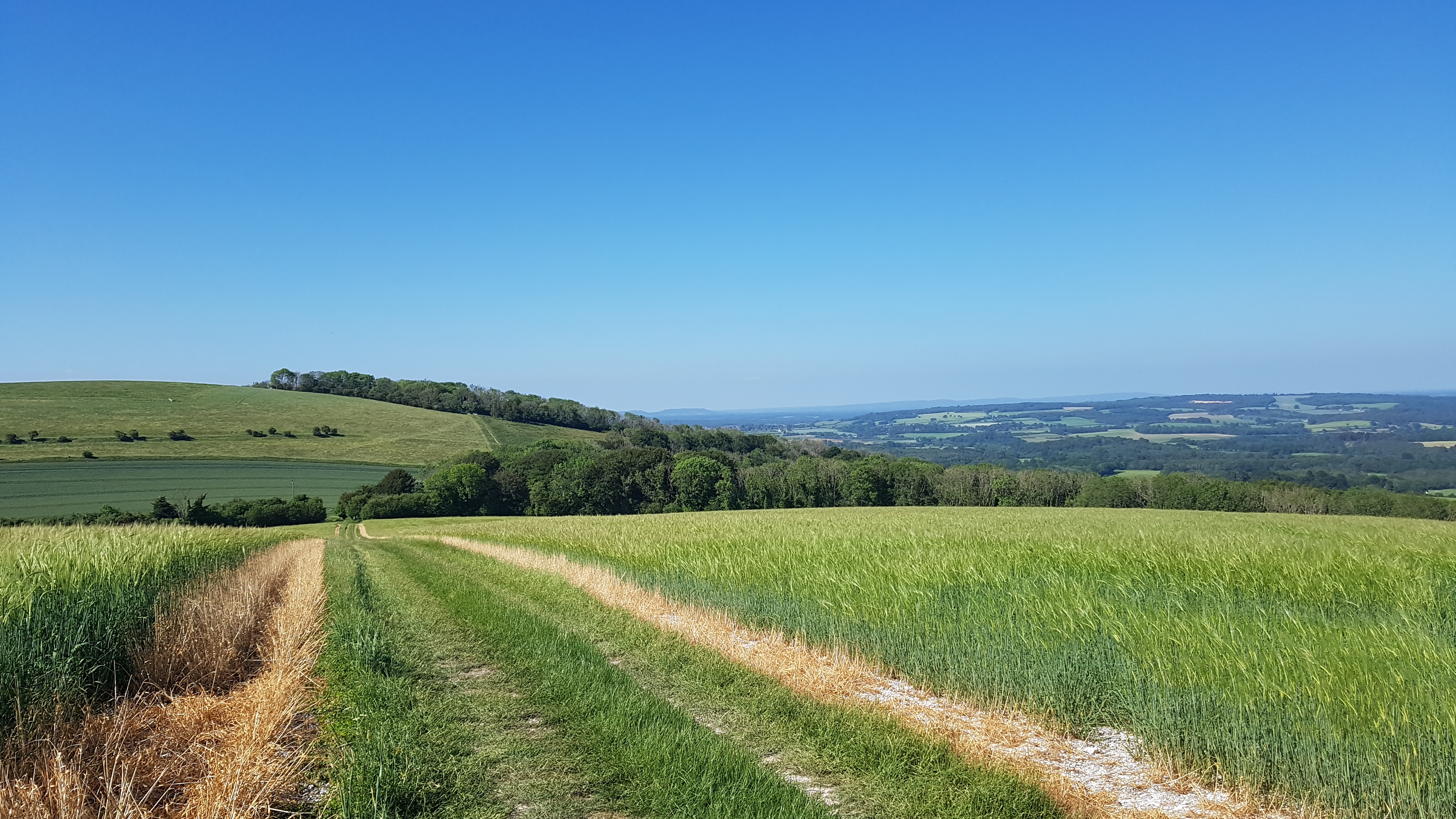 Wellness Walking - Walking With Friends