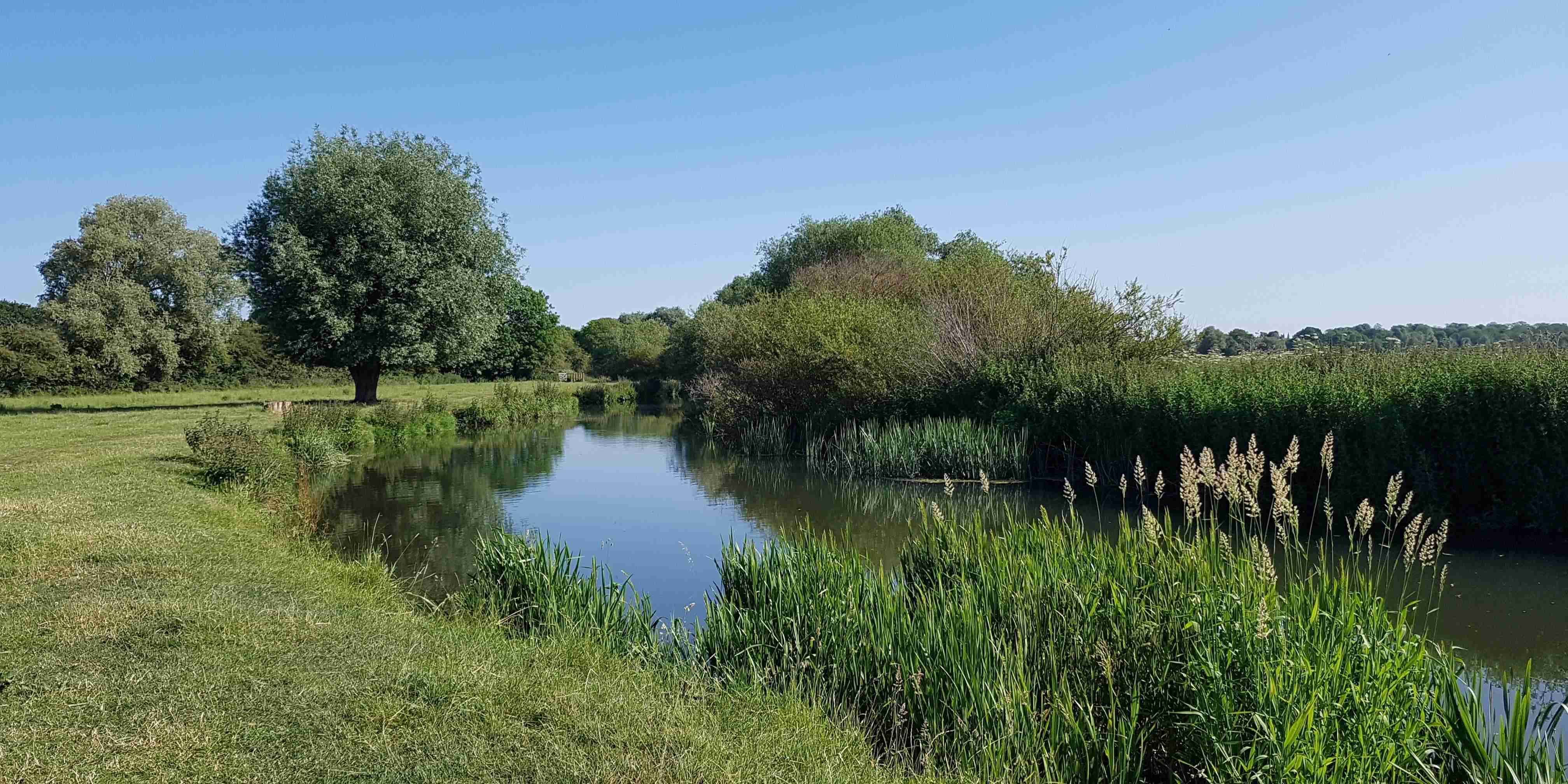 Grantchester