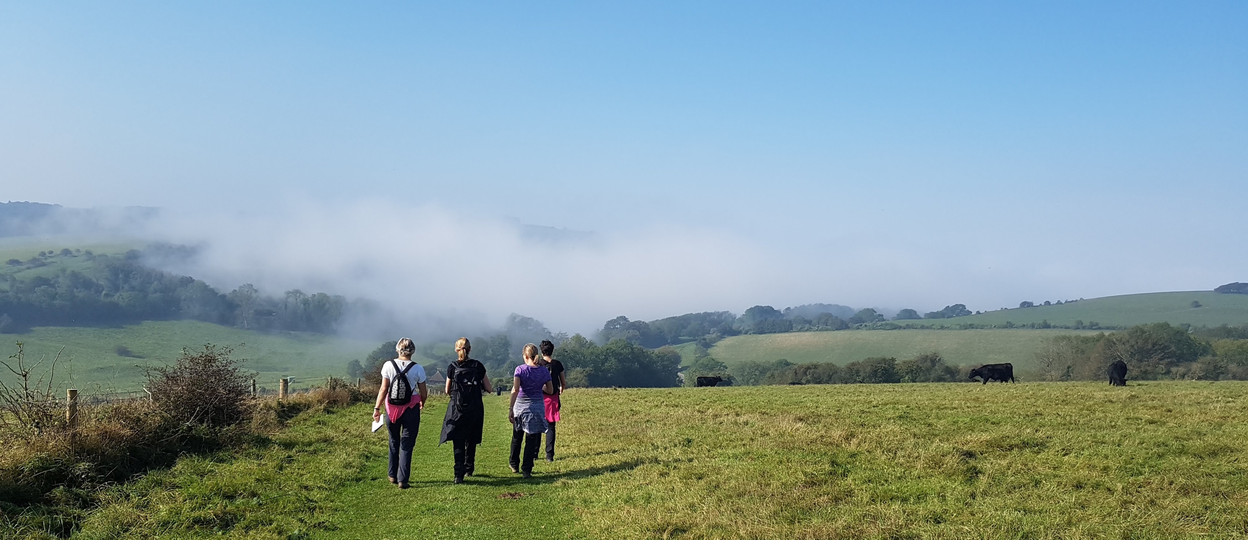 Wellness Walking - Beautiful Autumn View