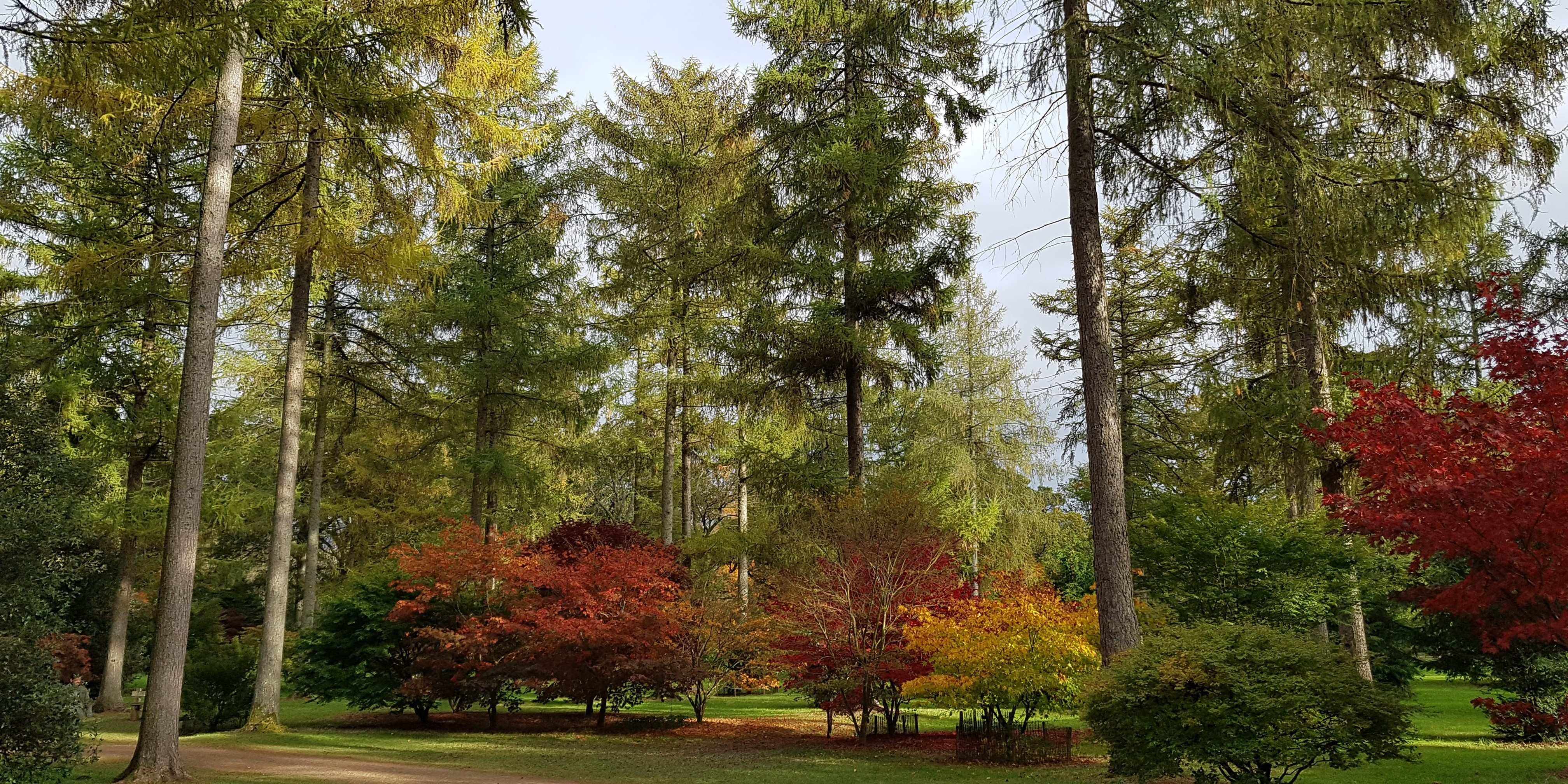 Wellness Walking - Walking Location