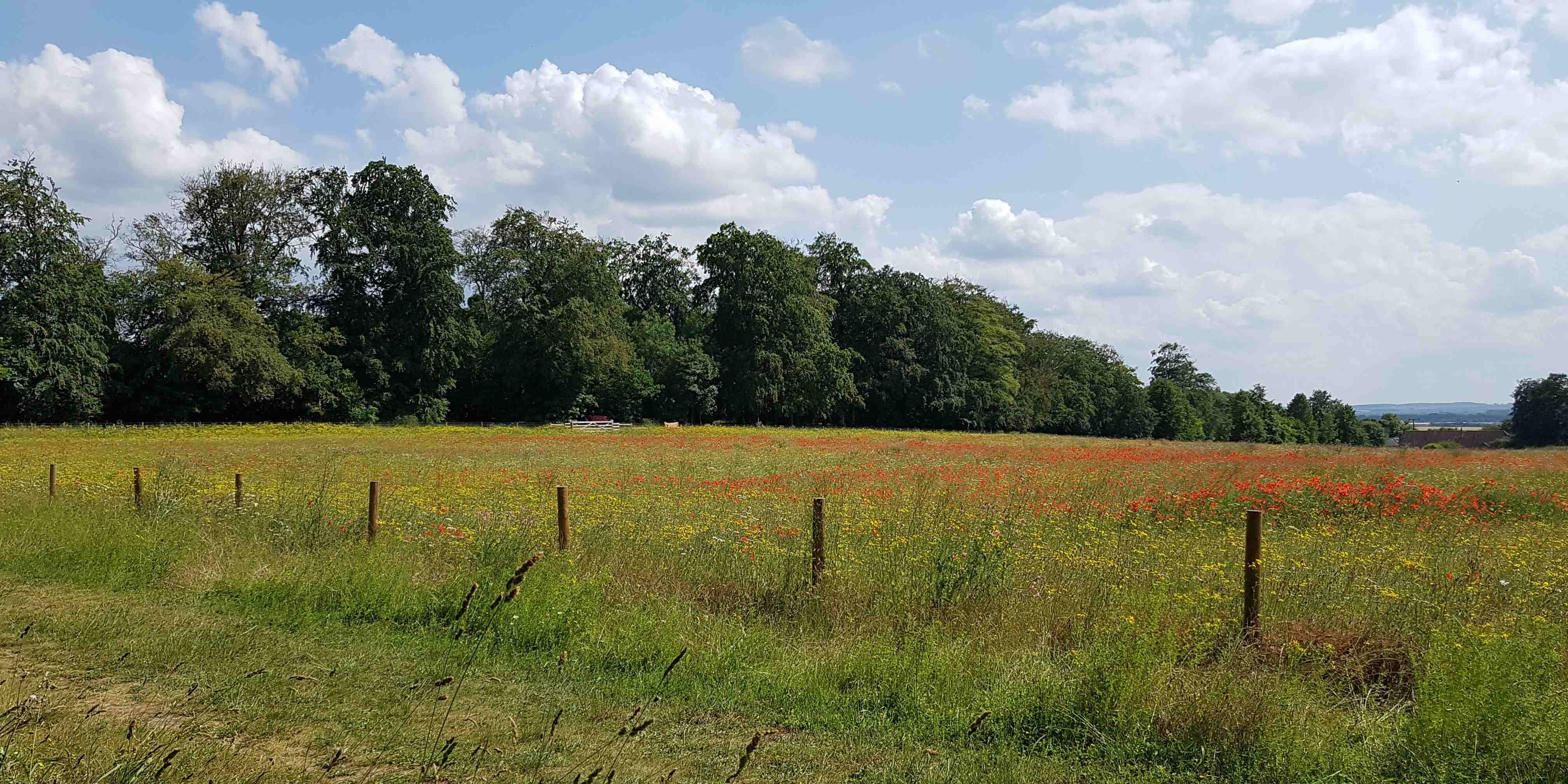 Wandlebury